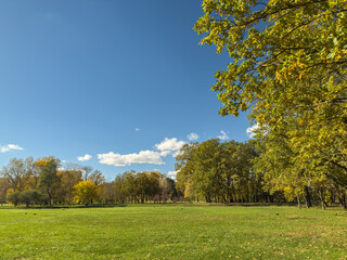 Wide Green Lawn Autumn Trees Clear Blue Sky