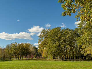 Vibrant Green Lawn Autumn Trees Blue Sky Park