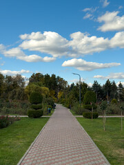 Long Paved Alley Topiary Bushes City Park View