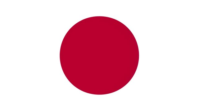 Red and blue big two merging blobs with white background animated 4k loop circle shapes cartoon round spheres moving 2d minimal boxing match sports backdrop