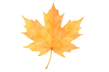 Fototapeta premium Autumn maple leaf showing vibrant orange and yellow colors with transparent background, symbolizing fall season and nature change