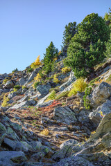 herbst in den schweizer alpen