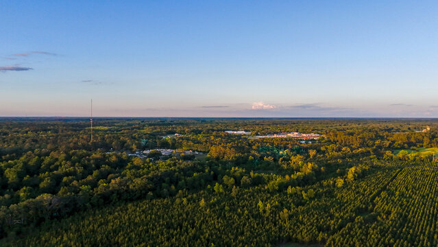 Aerial nature landscape of forest summer sunset wilderness area in rural Live Oak Florida