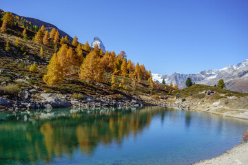 Herbstzeit im Kanton Wallis in der Schweiz