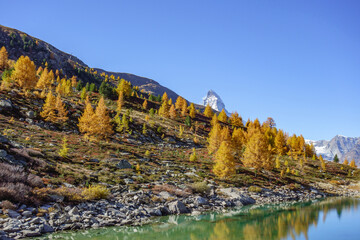 Herbstzeit im Kanton Wallis in der Schweiz