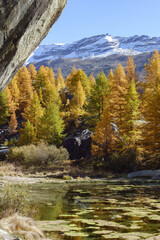 Herbstzeit im Kanton Wallis in der Schweiz