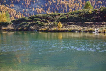 Herbstzeit im Kanton Wallis in der Schweiz