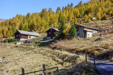 Herbstzeit im Kanton Wallis in der Schweiz
