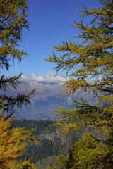 Herbstzeit im Kanton Wallis in der Schweiz