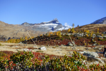 Herbstzeit im Kanton Wallis in der Schweiz