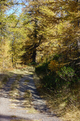 Herbstzeit im Kanton Wallis in der Schweiz