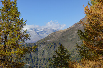 Herbstzeit im Kanton Wallis in der Schweiz