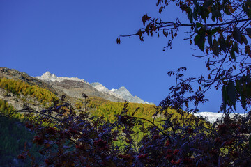 Herbstzeit im Kanton Wallis in der Schweiz