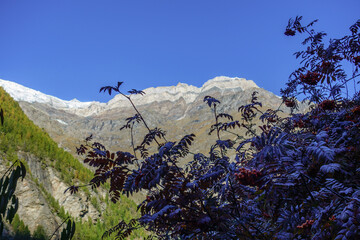 Herbstzeit im Kanton Wallis in der Schweiz