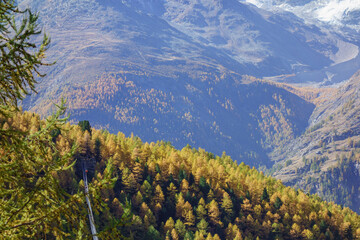 Herbstzeit im Kanton Wallis in der Schweiz