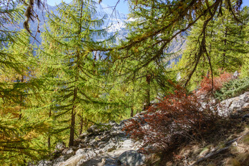 Am Matterhorn in der Schweiz