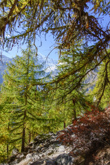 Am Matterhorn in der Schweiz