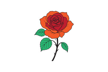 Beautiful Rose Flower Vector Icon Illustration on White Background.