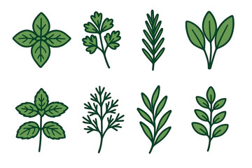 Hand-drawn green herbs and leaves collection featuring basil, parsley, rosemary, sage, mint, dill, tarragon, and bay leaf on a white background.