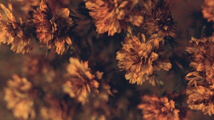 Blurred bokeh floral background light leak overlay. Soft flower bloom aesthetic. Vintage watercolor...