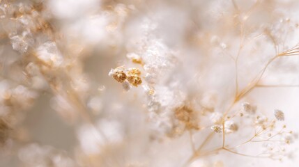 Blurred bokeh floral background light leak overlay. Soft flower bloom aesthetic. Vintage watercolor design for wedding cards, invitations. Spring or summer photo. Elegant minimalist radiography