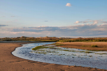 Beautiful view of the river in brazil