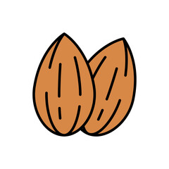 Pair of Almond Nuts Icon Vector Illustration