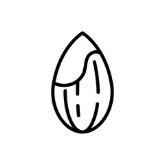 Peeled Almond Nut with White Kernel Outline Icon