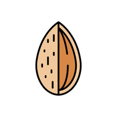Cross-Section Almond Icon Vector Illustration