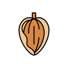 Almond Fruit Icon Vector Illustration