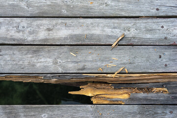 Stary dziurawy pomost drewniany z desek