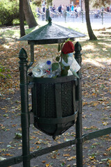 R&oacute;ża w koszu na śmieci, złamane serce