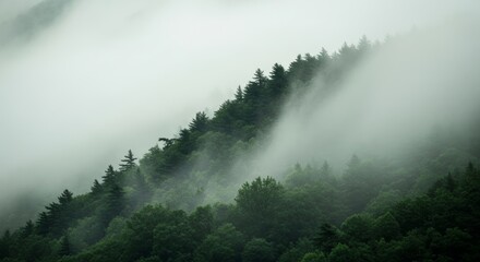 Misty Mountain Forest in Emerald Green Fog