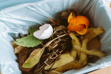 plastic trash bin with food waste kitchen