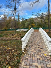 Beautiful autumn park filled with golden-yellow trees, cozy benches, and winding walking paths. Fallen leaves cover the ground, creating a peaceful and romantic atmosphere perfect for relaxation