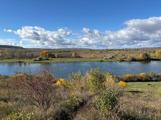 Peaceful autumn landscape with a calm river, colorful trees, and a grazing cow on a green hillside under a cloudy sky