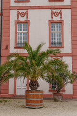 Fototapeta premium Herbstzeit in Wiesbaden