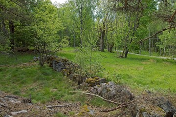 Landscape view of Heinästien meadow, is a traditional environment, where there were previously buildings and stone fences, in cloudy summer weather, Nikula, Espoo, Finland.