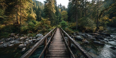 Scenic Landscape Featuring Bridge and Lush Forest