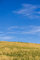 grass hill in nature background nobody with sky and clouds