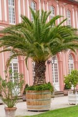 Herbstzeit in Wiesbaden