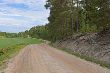Landscape view of Hankalahdentie gravel road lined with field and forest in cloudy summer weather, Espoo, Finland.