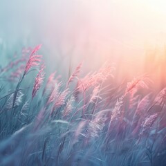 Soft focus field of tall grass seed heads waving gently in pastel colored light during sunset or sunrise