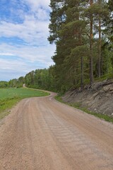 Landscape view of Hankalahdentie gravel road lined with field and forest in cloudy summer weather, Espoo, Finland.