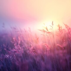 Delicate wild grass stalks sway gently against a vibrant backdrop of soft pink and purple sunset light