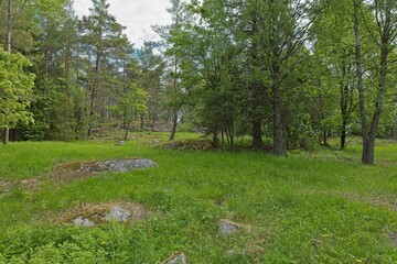 Landscape view of Heinästien meadow, is a traditional environment, in cloudy summer weather, Nikula, Espoo, Finland.