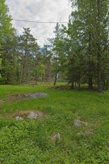 Landscape view of Heinästien meadow, is a traditional environment, in cloudy summer weather, Nikula, Espoo, Finland.