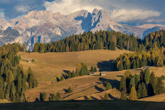 Autumn afternoon on Alpe di Siusi in the Italian Dolomites - with colorful larches and huts on an alpine meadow before sunset