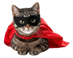Curious Tabby Cat With Red Cape And Mask As A Super Hero Animal Ready To Save the World