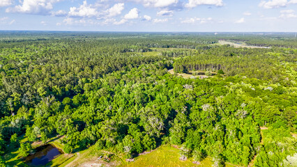 Obraz premium Aerial landscape of forest and pond running trail in suburban Baldwin Jacksonville Florida